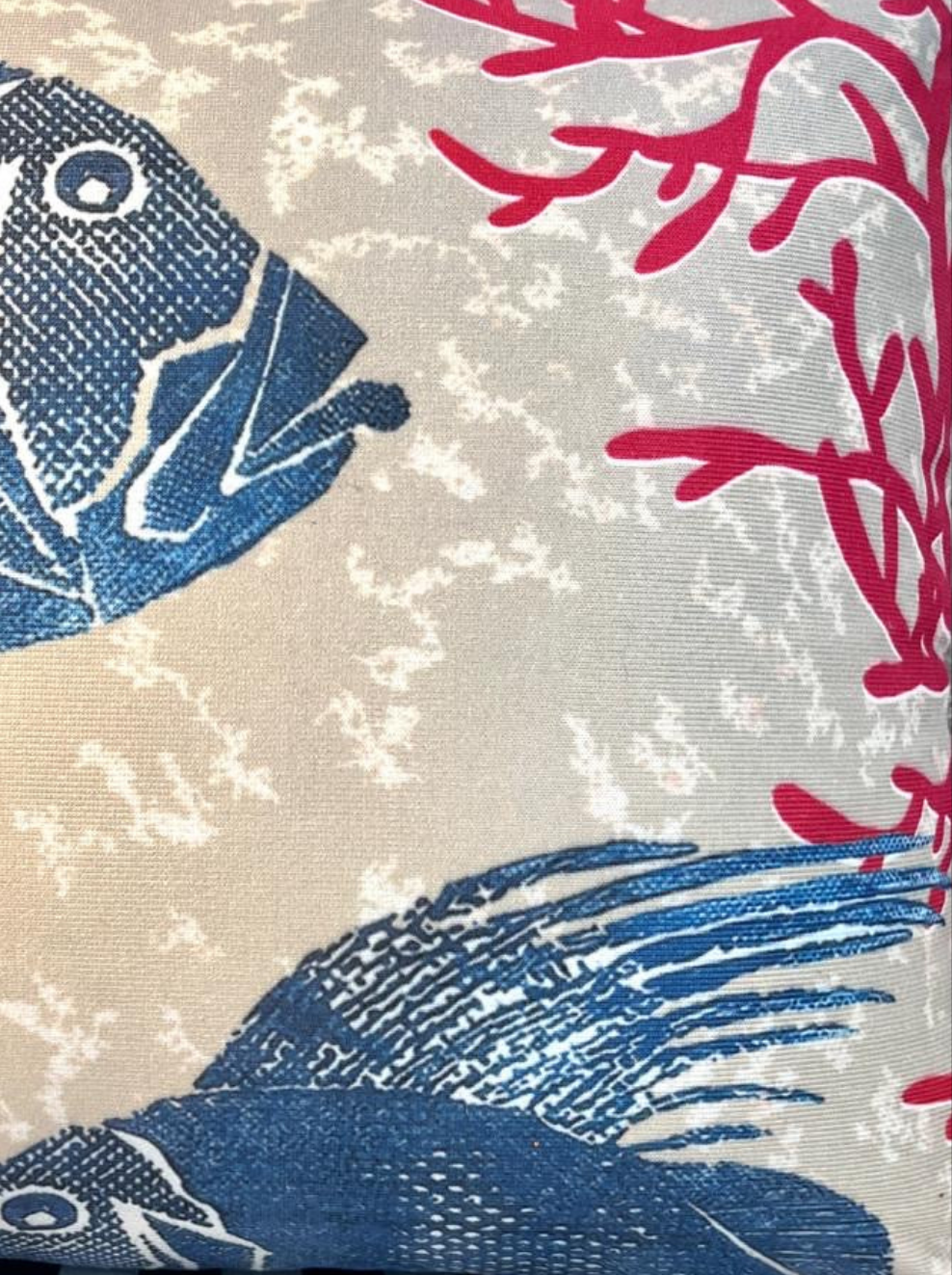 Fisch und Koralle-Kissen